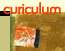 link to curiculum